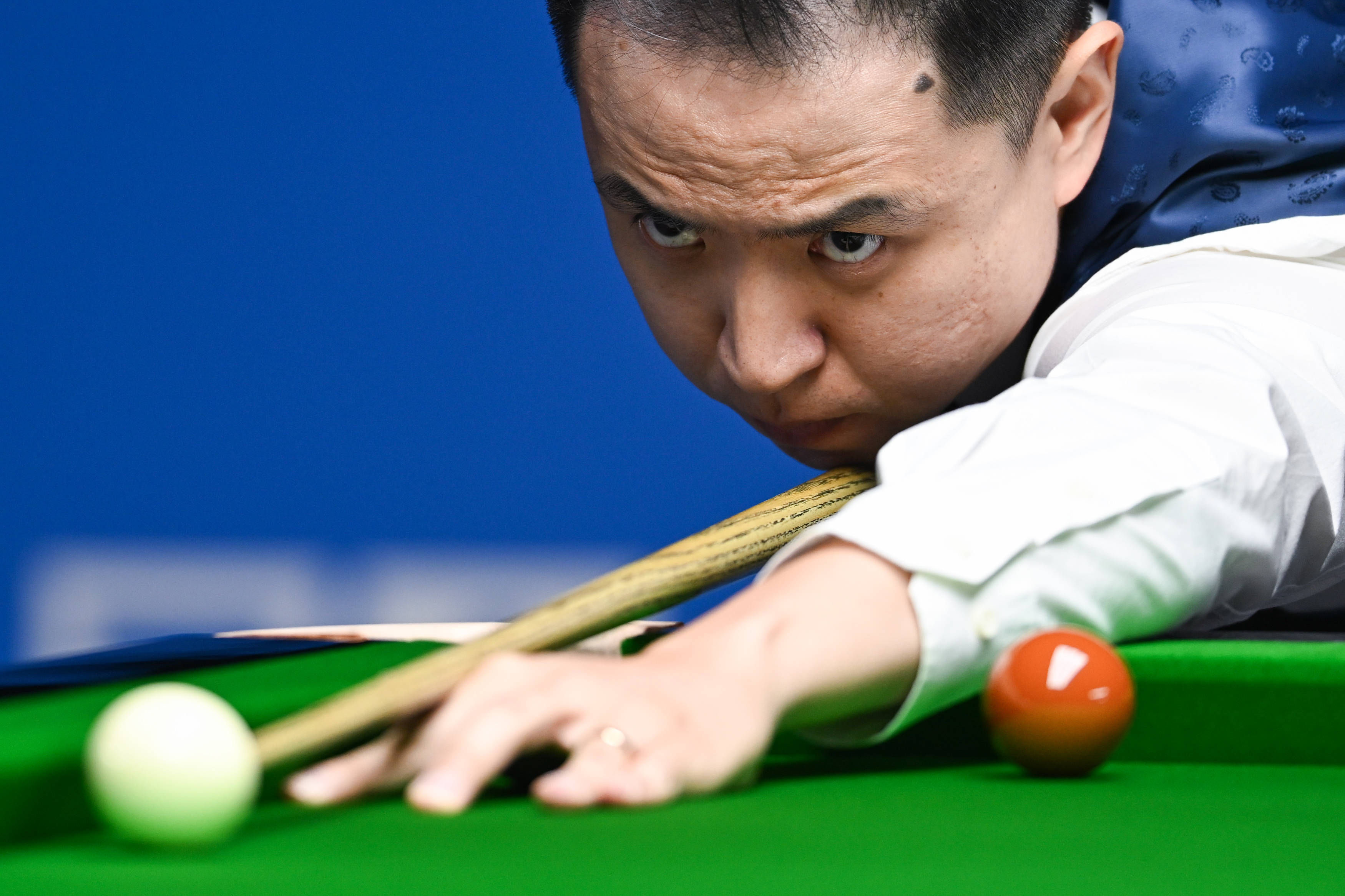 供了坚强的 供了坚强的