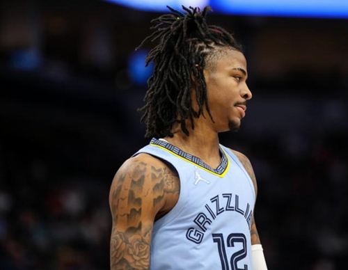 的敏锐嗅觉 的敏锐嗅觉